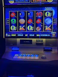 Link parlay live dealer account dashboard and tier progression overview